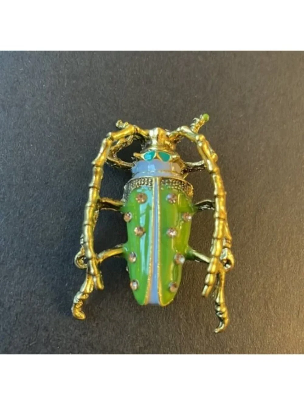 - Anthropologie beetle 🪲 brooch